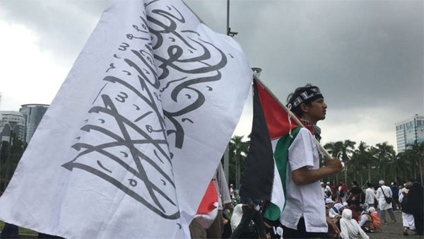 Warga bawa atribut dan bendera Palestina saat mendatangi Monas. (dok bbc.com)