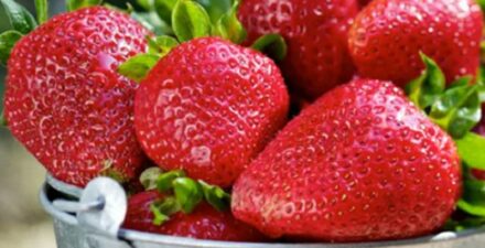 Manfaat Menakjubkan Stroberi untuk Otak dan Kesehatan Emosional, Temukan Hasil Penelitian