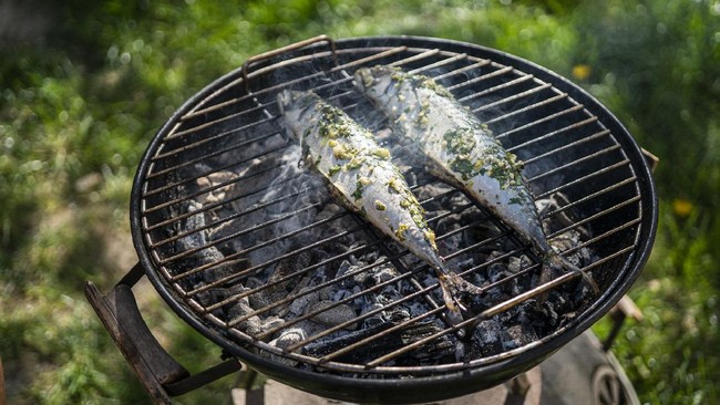 Bakar Ikan