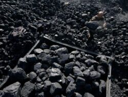 PLN EPI Bersiap Tingkatkan Kualitas Energi Listrik dengan Pengelolaan Batu Bara yang Optimal