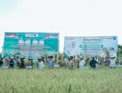 Wamentan Harvick Dorong Manokwari Jadi Lumbung Pangan Papua Barat