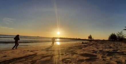 Pariwisata Daerah