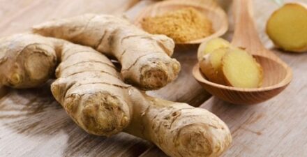 Sumatera Selatan Berjaya: 4 Daerah Penghasil Kencur Terbanyak di Indonesia