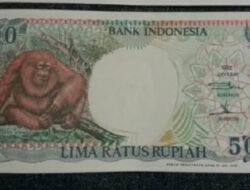 Mengintip Harga Uang Kuno Rp500 Bergambar Orang Utan, Objek Langka Dicari Kolektor