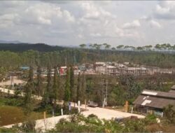 PLN Perkenalkan PLTS 50 Megawatt di IKN Mulai 2024