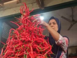 Pemerintah Kota Pariaman Luncurkan Gerakan Penanaman Cabai untuk Atasi Lonjakan Harga