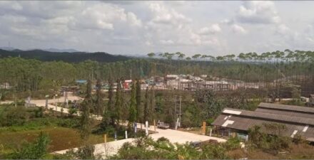Badan Otorita targetkan 15 investor groundbreaking di IKN 2024.