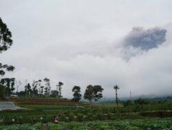 Gunung Marapi Meletus Setiap Setengah Jam, Bupati Tanah Datar Terus Pantau Situasi Terkini