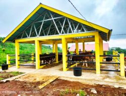 BBI Pertanian Golden Arm Operasionalkan Pembibitan Sapi Unggul