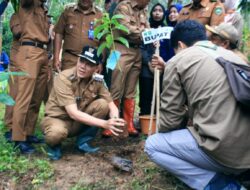 Tanam Bibit Pohon di Lokasi Terdampak Banjir, Bupati Sabar; Pasaman akan Jadi Kawasan Banjir Buah