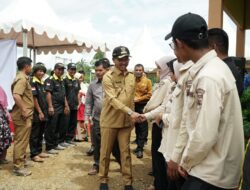 Sudah On Track, Solsel Terus Melompat Lebih Tinggi