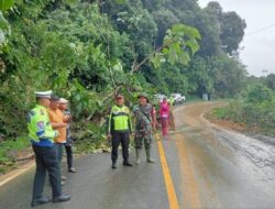 BPBD Limapuluh Kota Bersama TNI-Polri Sukses Bersihkan Material Longsor di Jalan Nasional