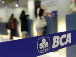 Peluang Magang Menarik di BCA, Bergabung Sebagai Customer Service/Teller!