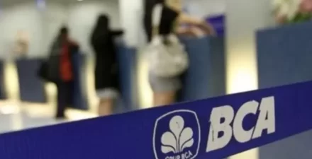 Peluang Magang Menarik di BCA, Bergabung Sebagai Customer Service/Teller!