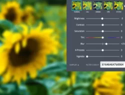 Tips Menggunakan Canva untuk Edit Foto Blur dengan Mudah