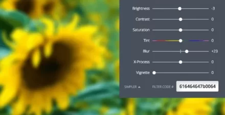 Tips Menggunakan Canva untuk Edit Foto Blur dengan Mudah