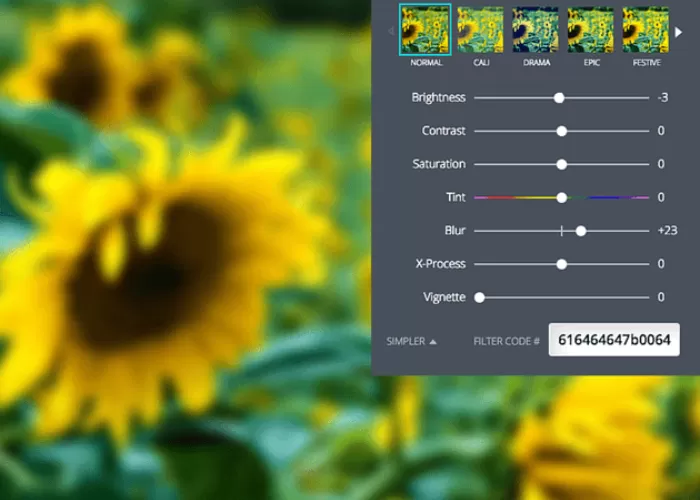 Cara edit foto blur di Canva.