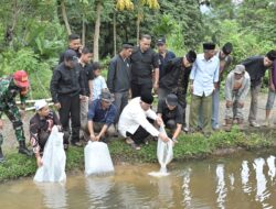 Lepas 8.000 Ekor Bibit Nila di Simawang, Gubernur Mahyeldi Juga Respons Usulan Pengerasan Jalan untuk Akses Pertanian