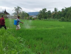 Alokasi Pupuk Bersubsidi 2024 Diperkuat, Petani Kabupaten Bekasi Dapat Manfaatkan Diskon