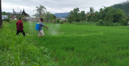 Alokasi Pupuk Bersubsidi 2024 Diperkuat, Petani Kabupaten Bekasi Dapat Manfaatkan Diskon