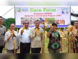 Unand dan Charoen Pokphand Kolaborasi Magang Peternakan, Mahasiswa Panen Jagung