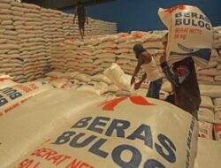 Impor Beras Indonesia, Tren dan Data Terbaru dari Januari 2024