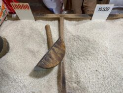 Presiden Jokowi Bicara Soal Kelangkaan dan Harga Beras, 7 Fakta Penting yang Perlu Diketahui