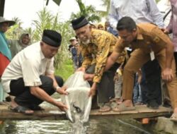 Langkah Mendukung Ketahanan Pangan, Bibit Ikan Garing Disiapkan untuk Desa di Sumatera Barat