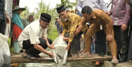 Langkah Mendukung Ketahanan Pangan, Bibit Ikan Garing Disiapkan untuk Desa di Sumatera Barat