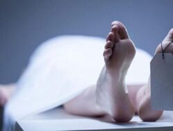 Data Kementerian Kesehatan, 108 Petugas Pemilu 2024 Meninggal, Hipertensi Jadi Perhatian Utama