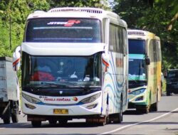 Pilihan Terjangkau, Banyaknya Operator Bus untuk Trayek Sumbar – Jakarta