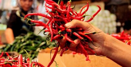 Harga pangan alami kenaikan.