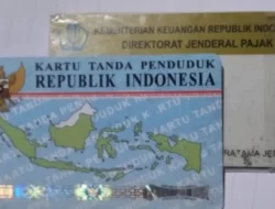 Kemenkeu Perkenalkan SIN, Identitas Tunggal untuk Administrasi Pajak Lebih Efisien