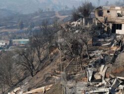 Darurat Kebakaran Hutan di Cile: 46 Jiwa Meninggal di Vina del Mar