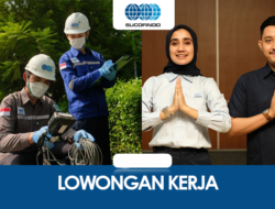 Buka Kesempatan Emas, Gabung dengan PT Sucofindo sebagai Junior IT!