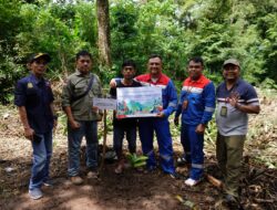 Menandakan Usia 27 Tahun, Pertamina Patra Niaga Sumbagut Tanam 3.250 Pohon