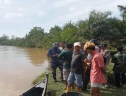Serangan Buaya di Sumbar, Warga Dilaporkan Diserang Saat Beraktivitas di Sungai