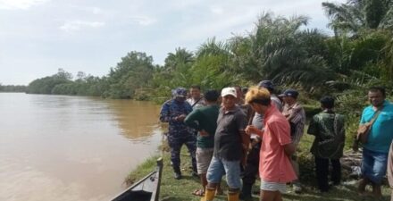 Serangan Buaya di Sumbar, Warga Dilaporkan Diserang Saat Beraktivitas di Sungai