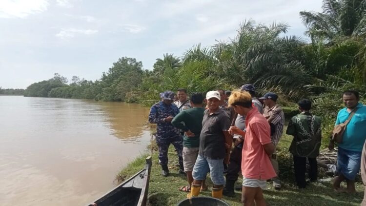 Serangan Buaya