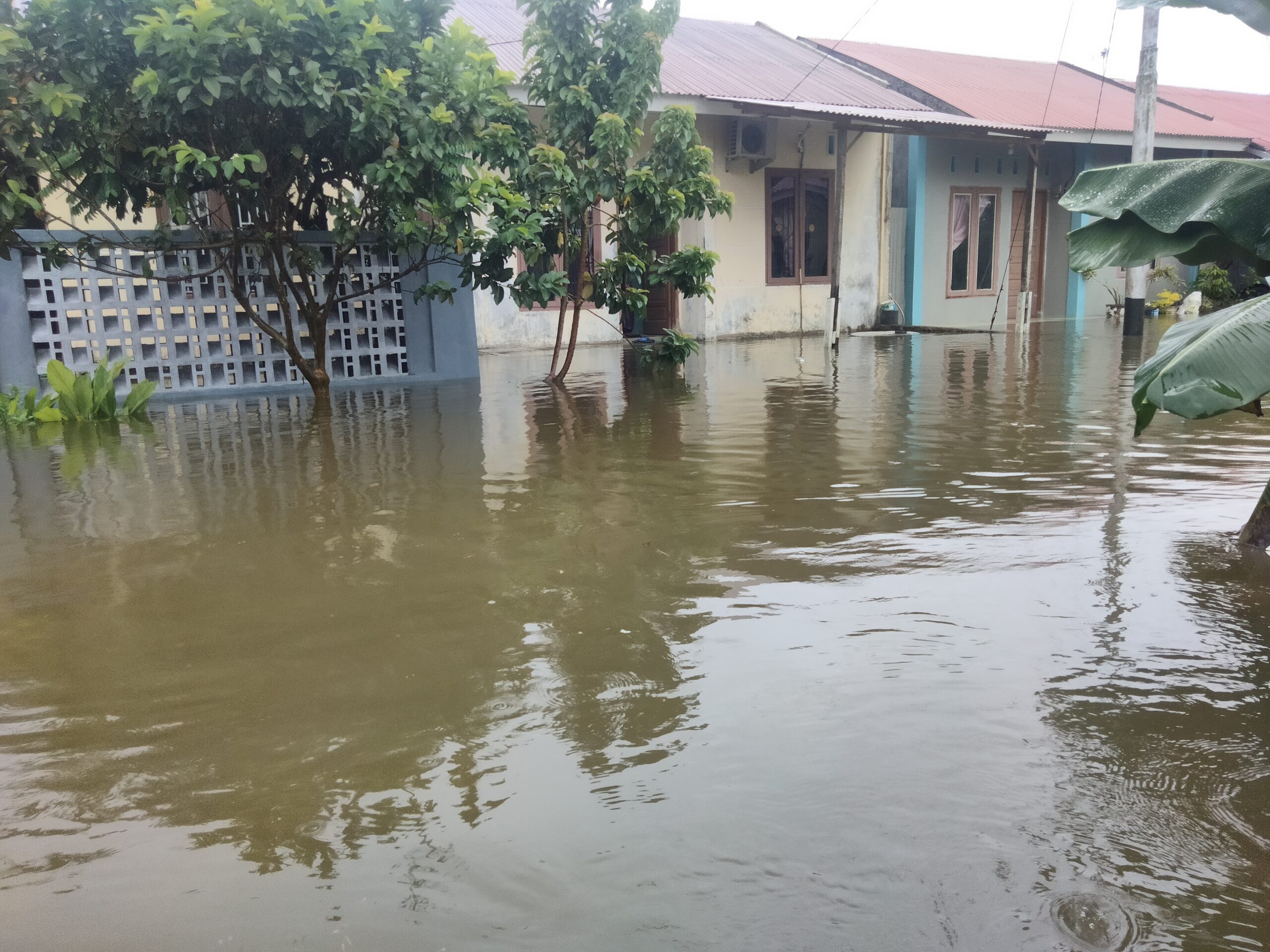 Banjir