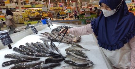 Stok Ikan untuk Puasa dan Lebaran Dipastikan Aman.