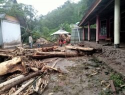 Kepala BNPB, Kekeringan Ancam Pasokan Air dan Produktivitas Pertanian