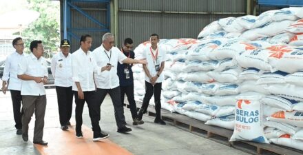 Presiden Jokowi Soal Harga Beras Tinggi.
