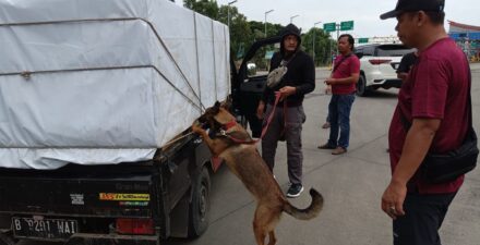 Operasi Antinarkoba