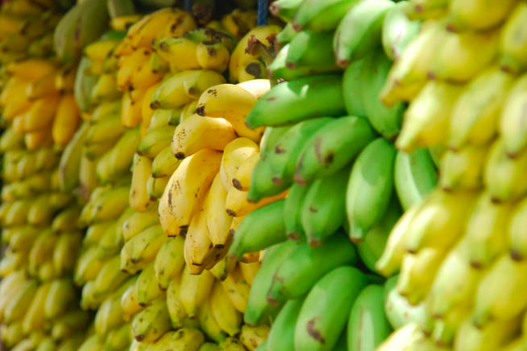 Pisang