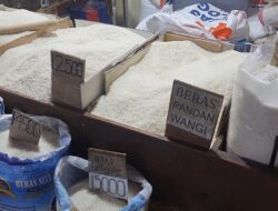 Penurunan Harga Beras Di Pasar Tradisional, Kabar Baik Jelang Ramadhan