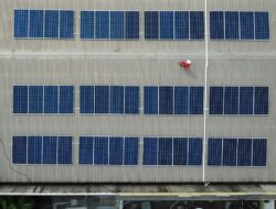 Peran Penting Biomassa Kayu dalam Transisi Energi, Komitmen Pemerintah Indonesia