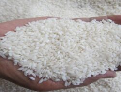 Harga Beras Naik di Pertengahan Ramadhan, Pedagang Beri Penjelasan