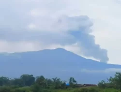 PVMBG, Gas Beracun Gunung Marapi Cenderung Menurun Secara Fluktuatif