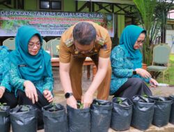 Pj Wako Jasman Peringati HKG – PKK 2024 Tanam Cabai Serentak Se Indonesia